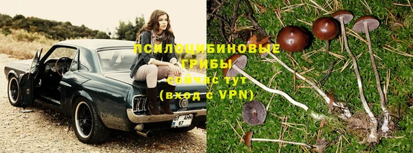 трава Строитель