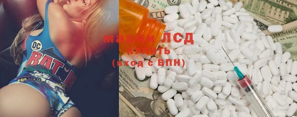 гидра Струнино