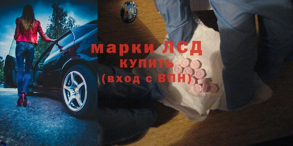 гидра Струнино
