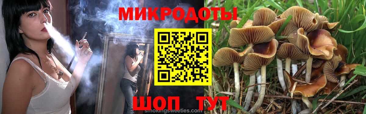 Галлюциногенные грибы Cubensis Хасавюрт