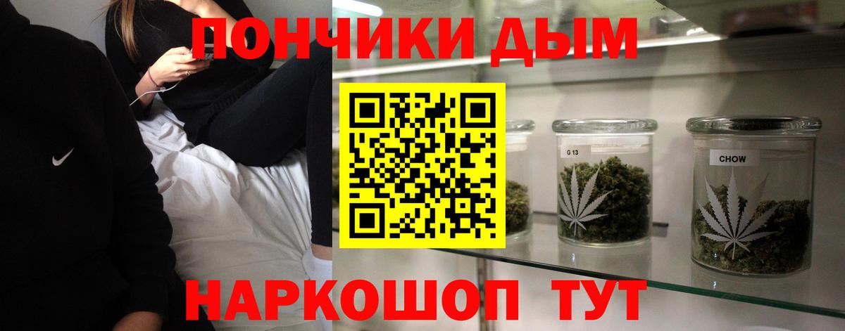 МАРИХУАНА ГИДРОПОН  Вход с VPN  Каннабис OG Kush  Хасавюрт  Конопля ГИДРОПОН 